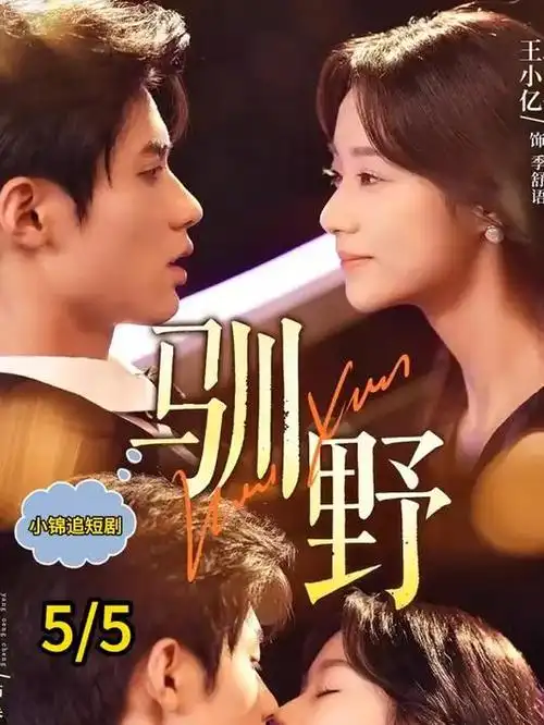 高分日剧京都四季便当海报